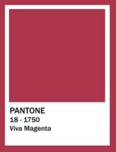 Pantone | Boobgasm | CondomDepot.com Learning Center