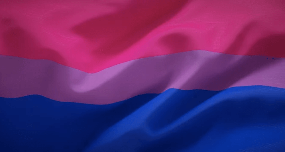 Bisexual Pride Flag | Categorizing Sexual Orientation | CondomDepot.com Learning Center