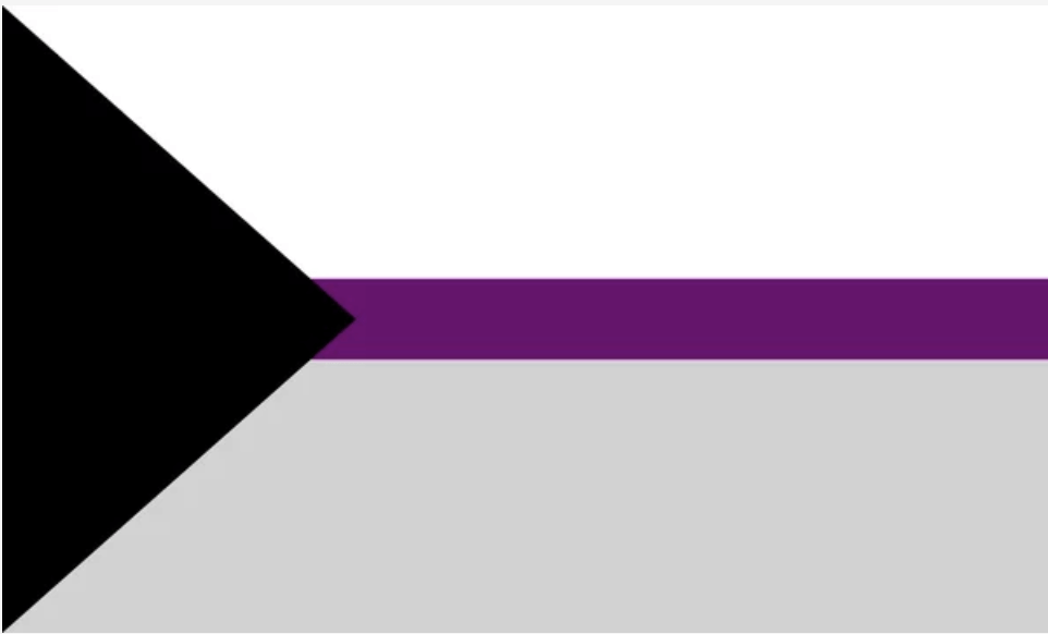 Demisexual Pride Flag | Categorizing Sexual Orientation | CondomDepot.com Learning Center