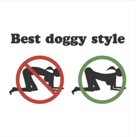 Doggy Style | Best Positions for Curved Penises