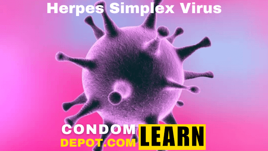 Herpes Simplex Virus | Herpes Vaccine | CondomDepot.com Learning Center