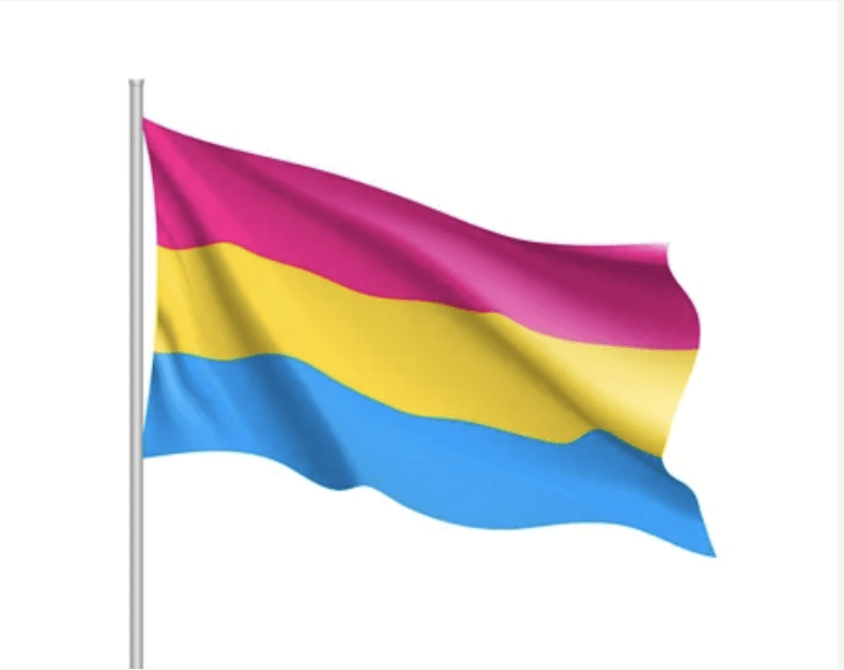 Pansexual Pride Flag | Categorizing Sexual Orientation
