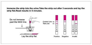 How to take a pregnancy test | Is it time for a pregnancy test | Condom Depot Learning Centrt