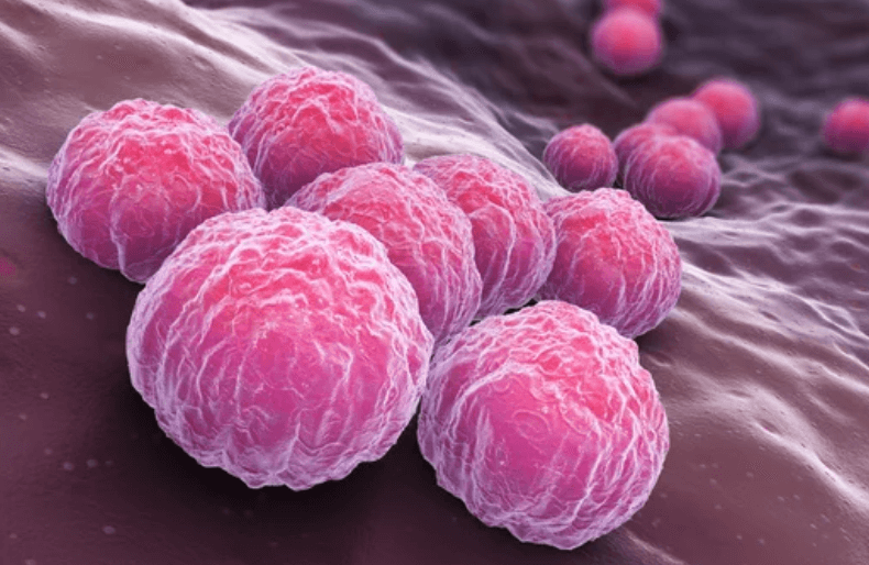 What is Chlamydia | Condom Depot Learning Center