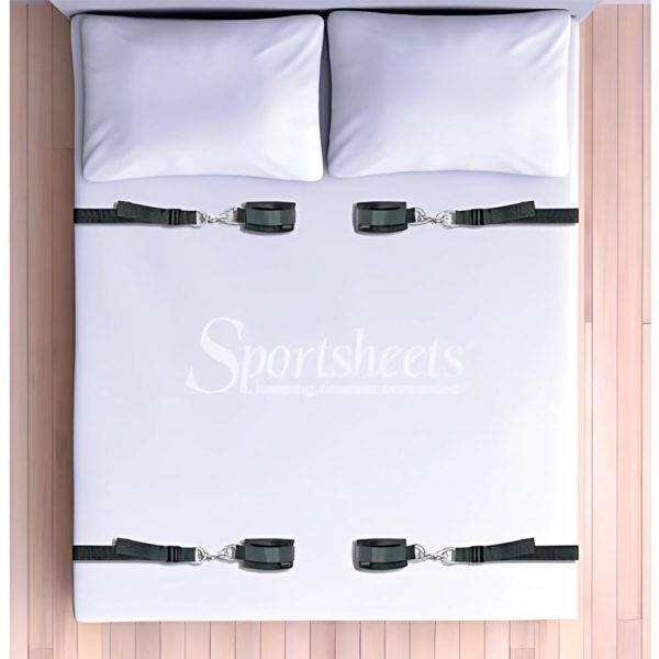 Under the Bed Restraint System - Image 2